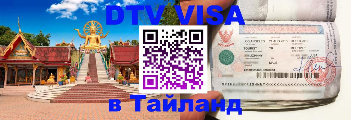 Оформление DTV визы под ключ: стоимость и тарифы, только загранпаспорт - 